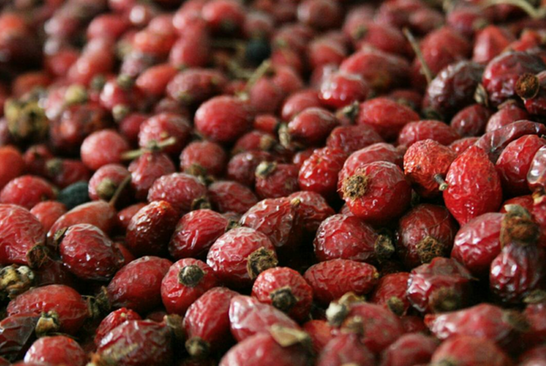 Rosehips Don't Lie